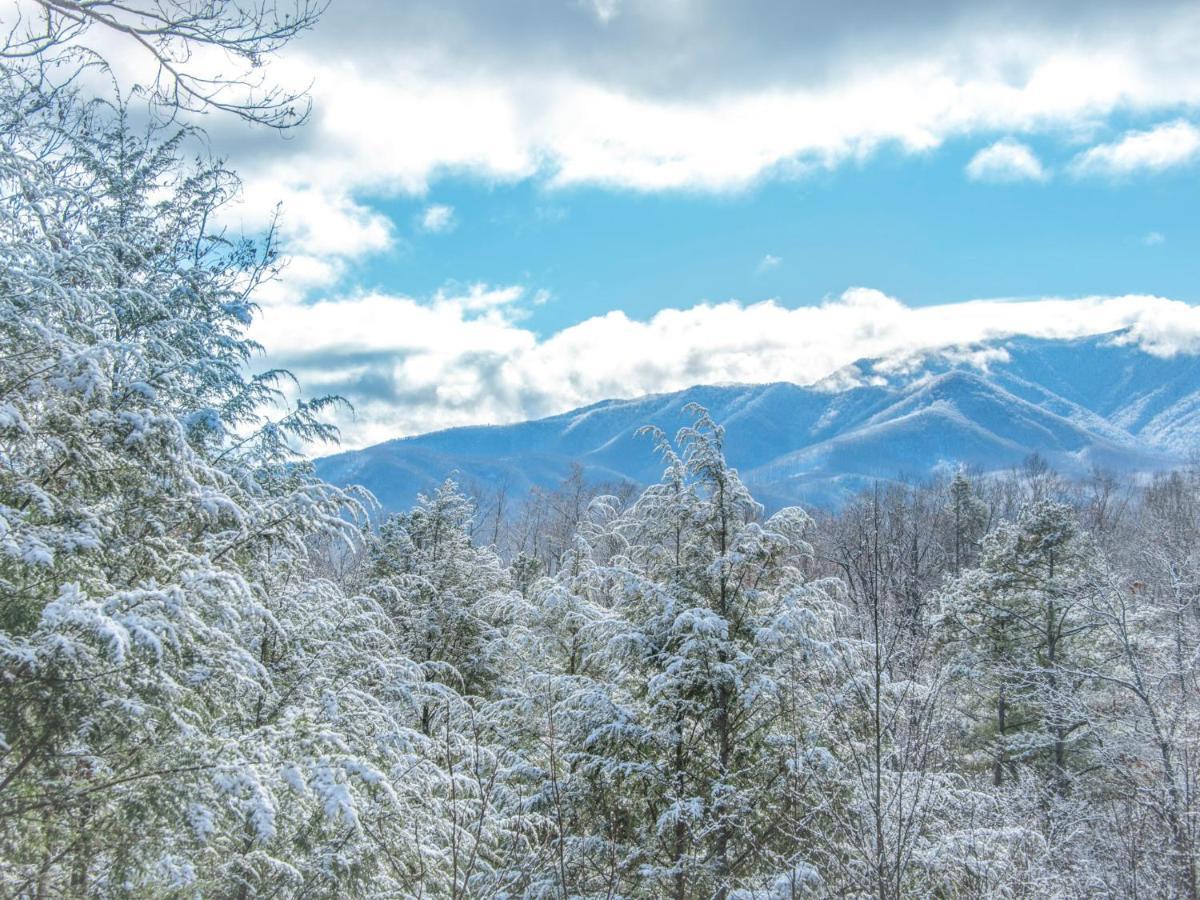 Vila Dew South Gatlinburg Exteriér fotografie