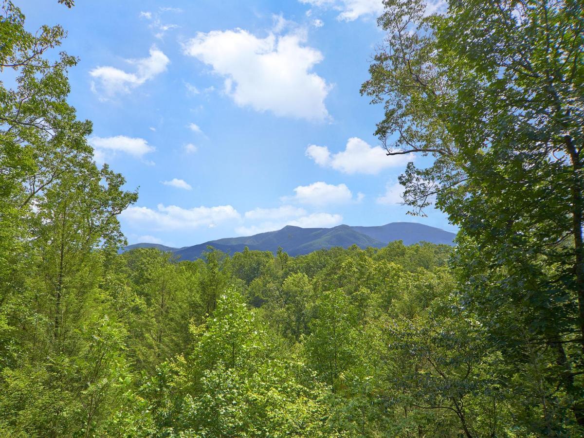 Vila Dew South Gatlinburg Exteriér fotografie